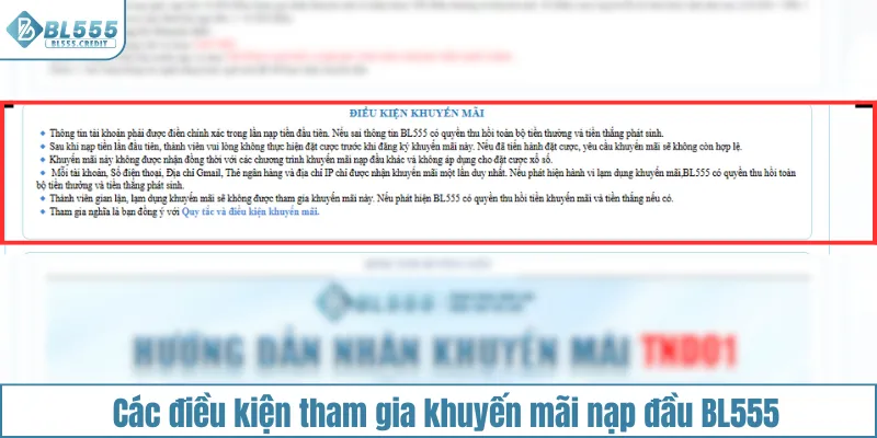 Các điều kiện tham gia khuyến mãi nạp đầu BL555