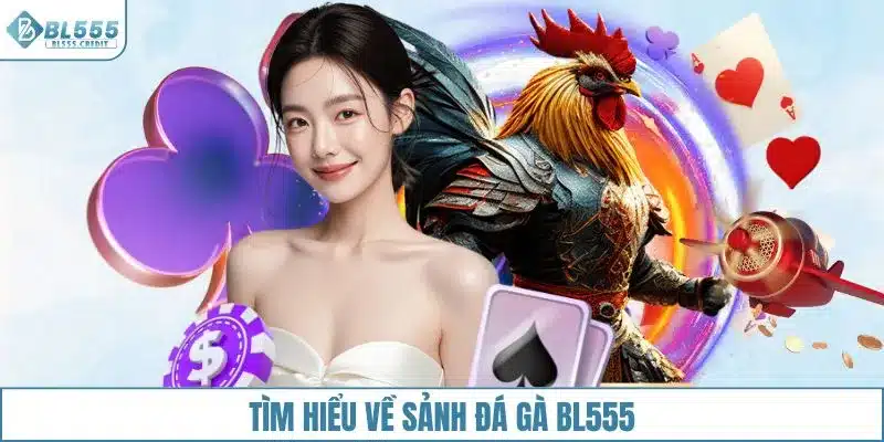 Tìm hiểu về sảnh đá gà BL555
